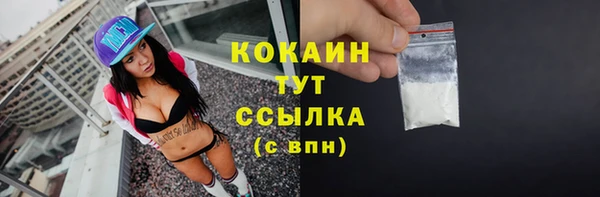 ALPHA PVP Новозыбков
