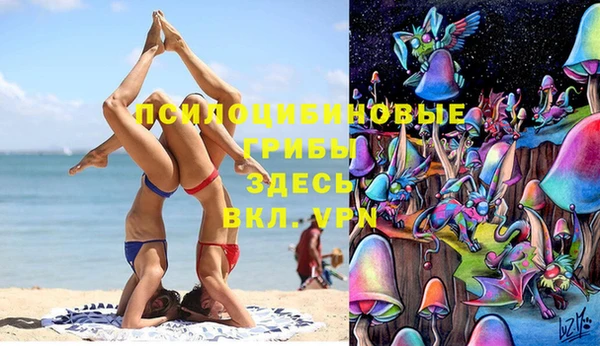 МДПВ Новодвинск