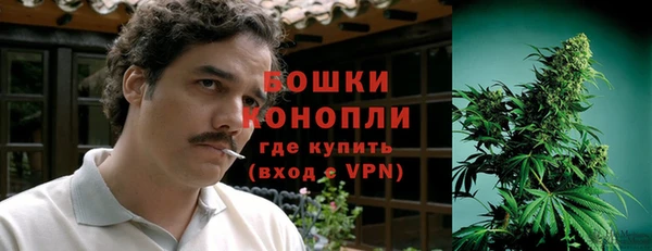 ALPHA PVP Новозыбков